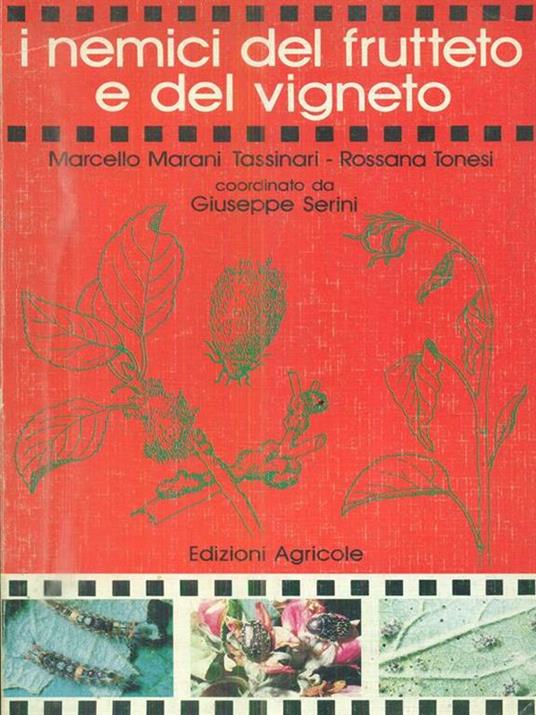 L' utopia bruciata Praga 1968 - Arrigo Bongiorno - 3