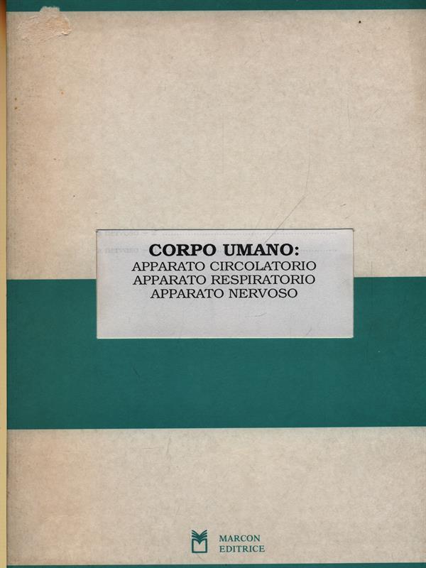 Corpo umano: apparato circolatorio, apparato respiratorio, apparato nervoso