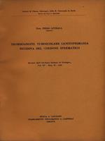 Tromboangite tubercolare genitoprimaria recidiva del cordone spermatico (XV). Estratto