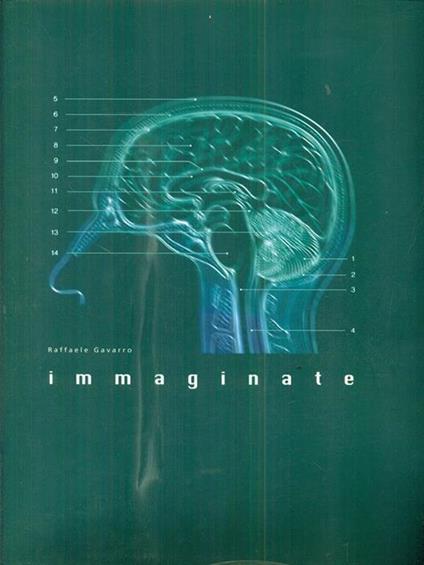 Immaginate - Raffaele Gavarro - copertina
