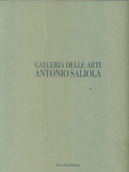 Galleria delle arti Antonio Saliola - copertina