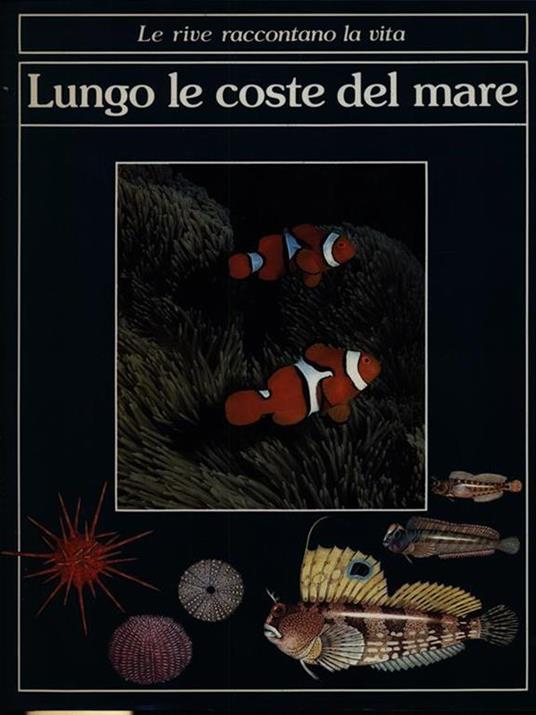 Le rive raccontano la vita lungo le coste del mare - copertina