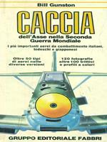 Caccia dell'asse nella Seconda Guerra Mondiale