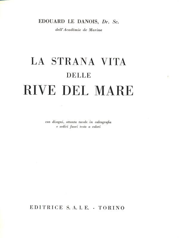 La strana vita delle rive del mare