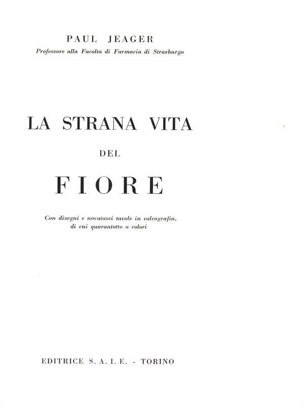 La strana vita del fiore