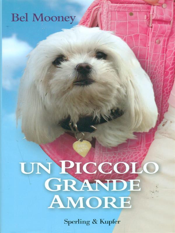Un piccolo grande amore