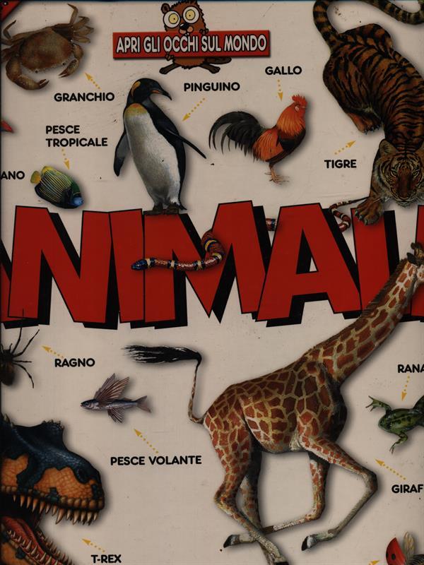 Animali 100 finestrelle