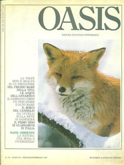 Oasis. Anno III. numero 1/2., Gennaio/febbraio 1987 - copertina