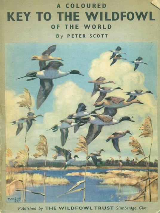 A Coloured Key to the Wildfowl of the World - Peter Scott - copertina