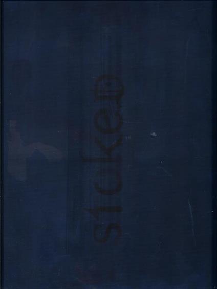 Stoked. The evolution of action sports - Claudia Lebenthal - copertina