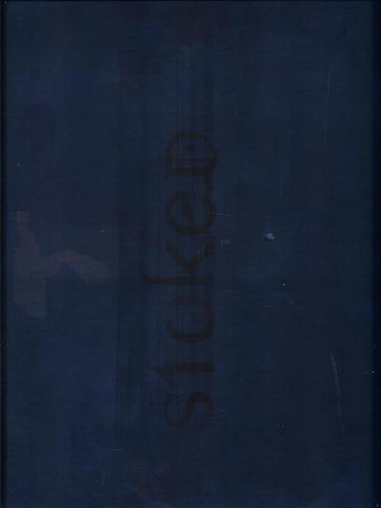 Stoked. The evolution of action sports - Claudia Lebenthal - copertina