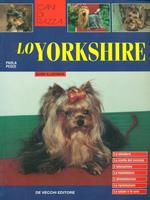 Cani di Razza Lo Yorkshire