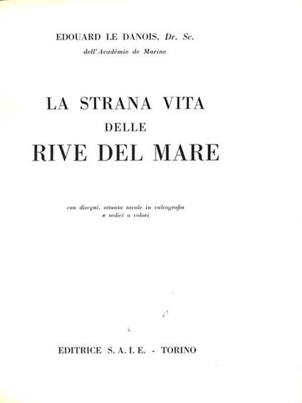La strana vita delle rive del mare - Édouard Le Danois - copertina