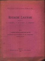 Ricerche Lagunari N. 8