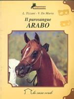 Il  purosangue arabo