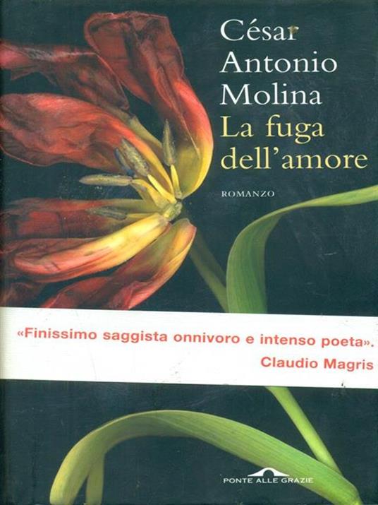 La fuga dell'amore - César A. Molina - copertina