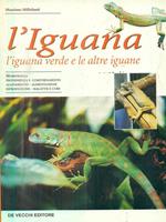 L' iguana. L'iguana verde e le altre iguane