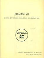 Sirmium VII. Horrea et thermes aux abords du rempart sud