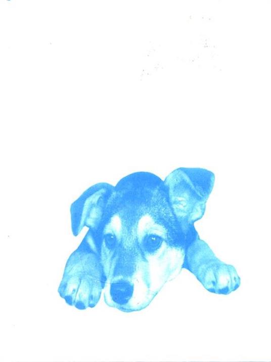 Sto sempre con te - Mathilde Bonetti - copertina