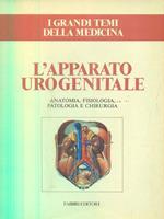 L' apparato urogenitale