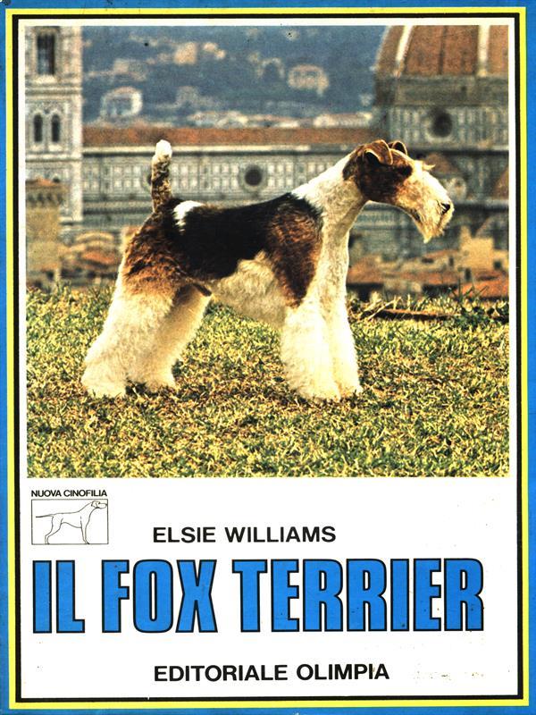 Il fox terrier