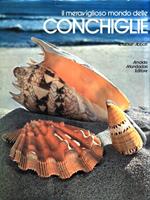 Il meraviglioso mondo delle Conchiglie