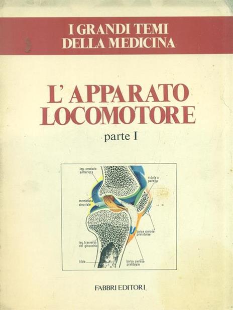 L' apparato locomotore. Parte I - 3