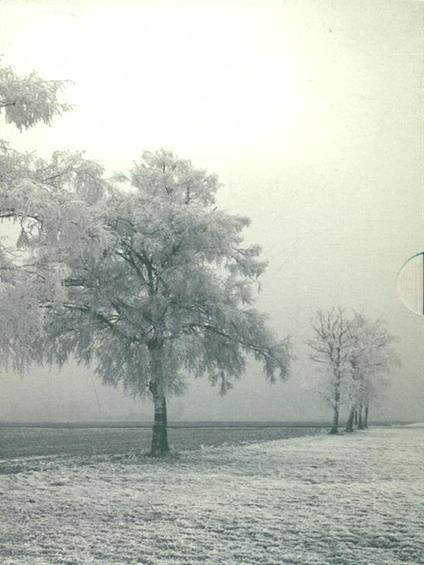 I cani di riga - Henning Mankell - copertina