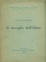 Il risveglio dell'Islam