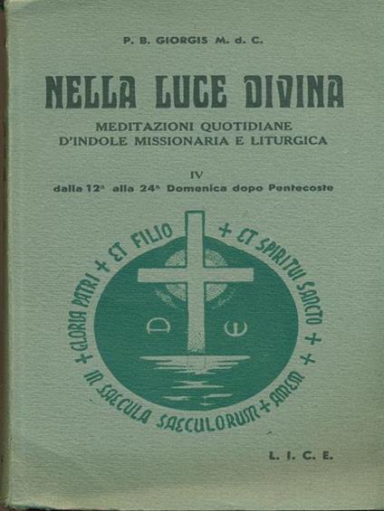   Nella luce divina - P.B. Giorgis - copertina