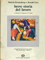 Breve storia del lavoro
