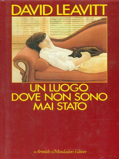 Un luogo dove non sono mai stato - David Leavitt - copertina