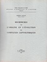   Recherches sur l'origine et l'evolution de complexes leptolitiques