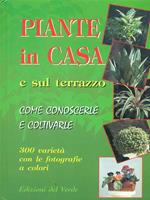 Piante in casa e sul terrazzo