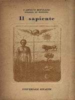 Il sapiente