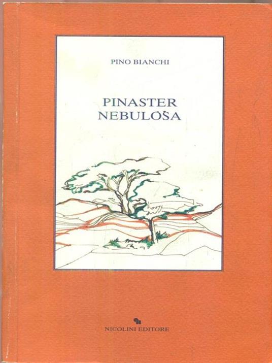Pinaster Nebulosa - Pino Bianchi - copertina
