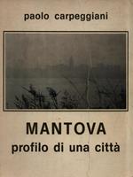 Mantova profilo di una città
