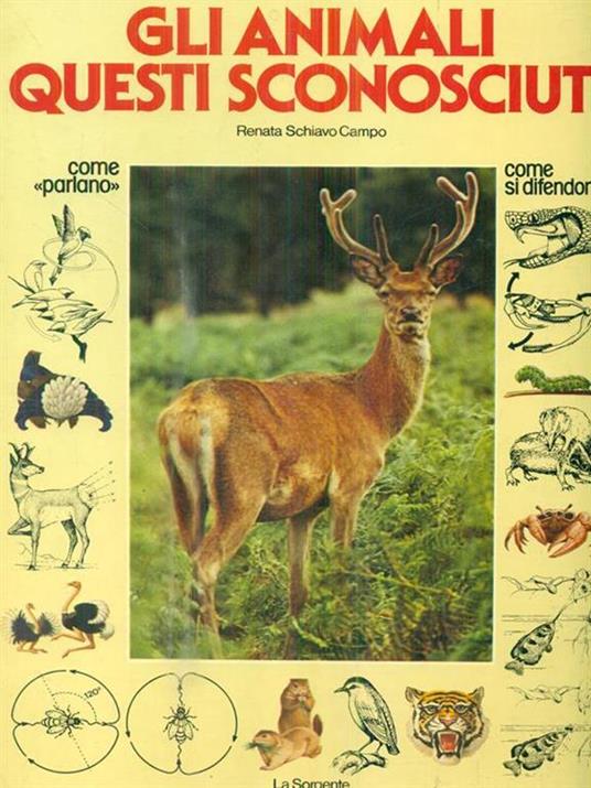 Gli animali questi sconosciuti - Renata Schiavo Campo - copertina
