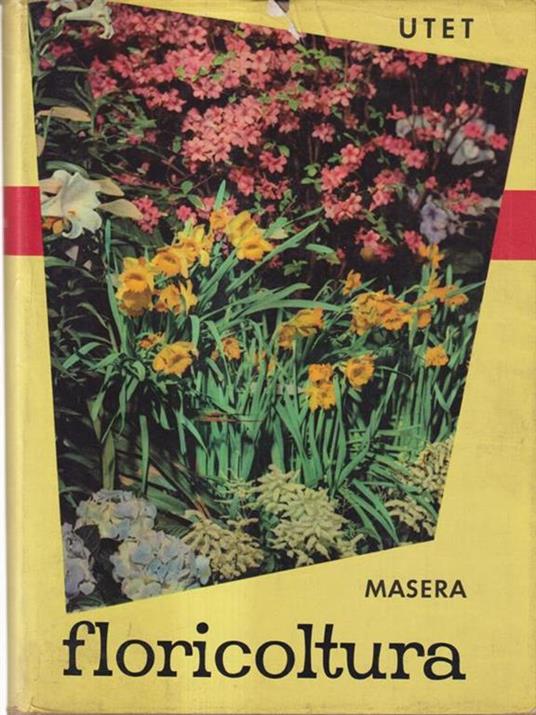 Floricoltura - Onorato Masera - copertina