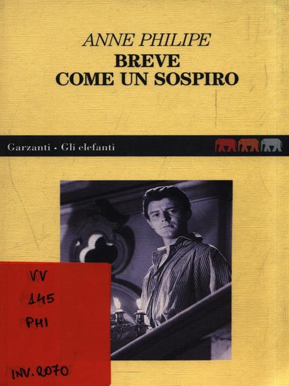 Libreria Imagine's Book