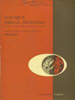 L' acqua della digenza