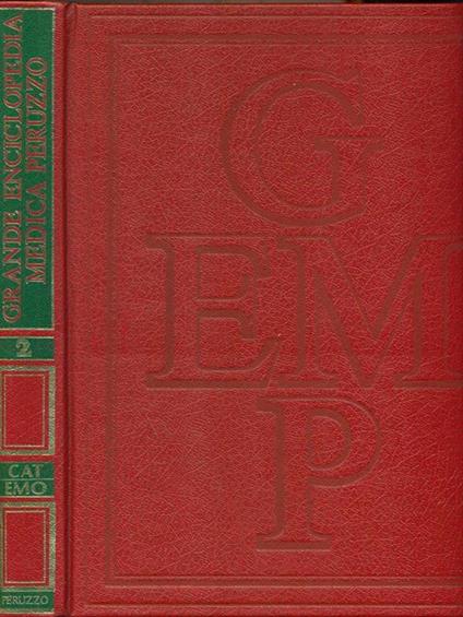 Grande enciclopedia medica Peruzzo 2 - copertina