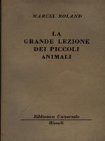 La grande lezione dei piccoli animali