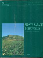 Monte Saraceno di Ravanusa. Un ventennio di ricerche e studi
