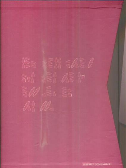 Lettere di pietra - Fiamma Lenzi - copertina