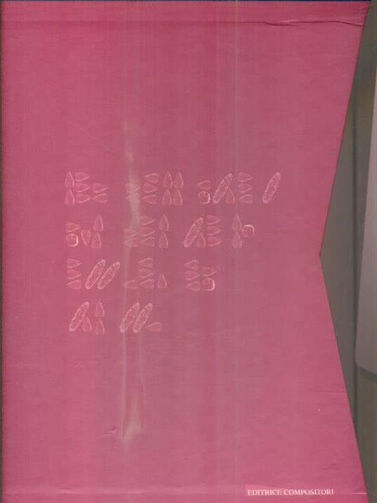 Lettere di pietra - Fiamma Lenzi - copertina