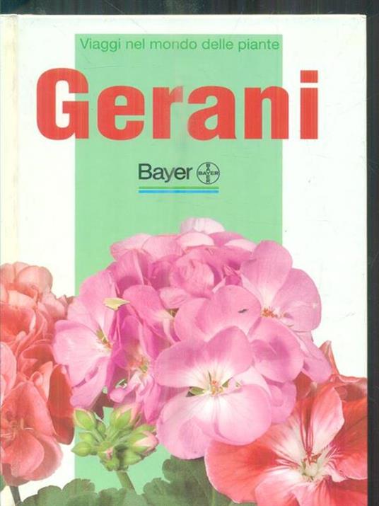 Gerani -   - 2