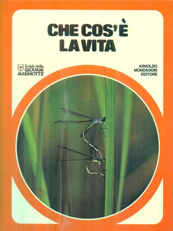 Libro di Faccia