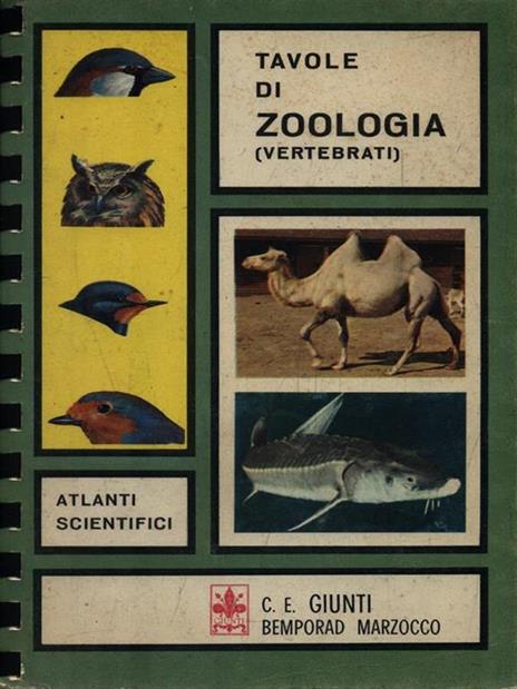 Tavole di Zoologia (Vertebrati) -   - copertina