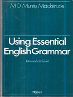 Using essential english grammar